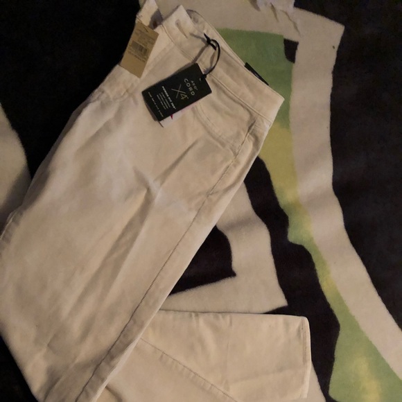 AEO CORD JEGGING BNWT - Picture 3 of 3